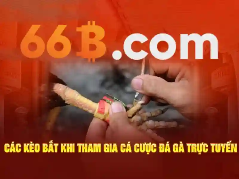 66b: một khái niệm và ứng dụng tiềm năng Go88