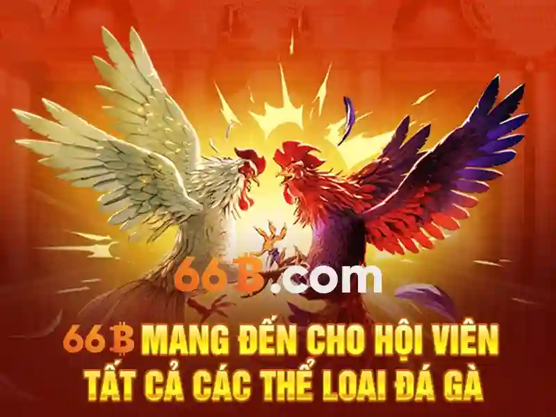 Các sản phẩm và dịch vụ của cờ vua 66b Các sản phẩm và dịch vụ của cờ vua 66b