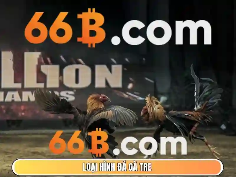 66b hạ long – Tổng quan và giá trị cốt lõi