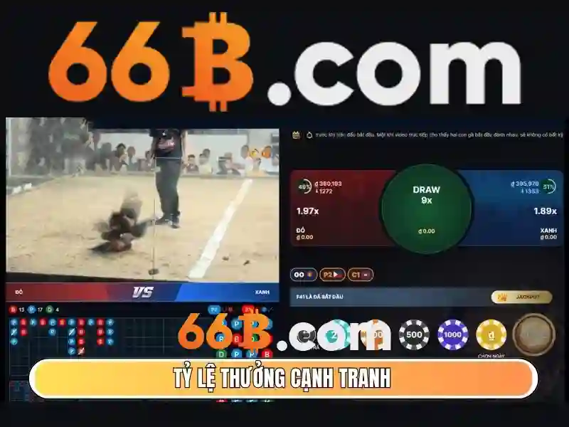 66b – Trải nghiệm người dùng và phản hồi từ cộng đồng