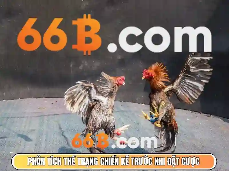 Hướng dẫn xác minh tin cậy doanh nghiệp khi cài đặt app 66b trên iPhone