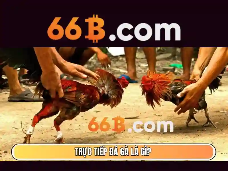 66B: Giới thiệu về mô hình ngôn ngữ có tham số lớn Go88
