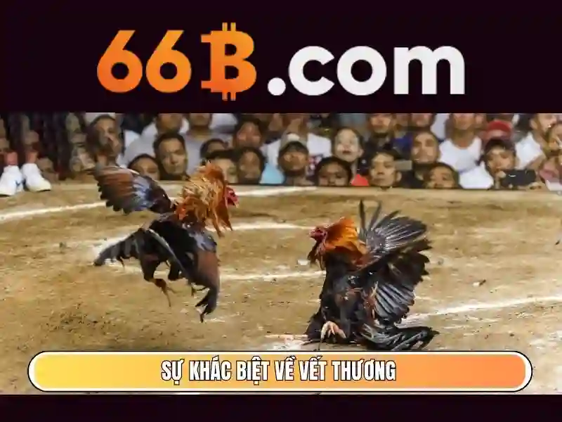 66b uy tín không – Khởi đầu cho niềm tin lâu dài trong công nghệ và dịch vụ 66b uy tín không – Khởi đầu cho niềm tin lâu dài trong công nghệ và dịch vụ