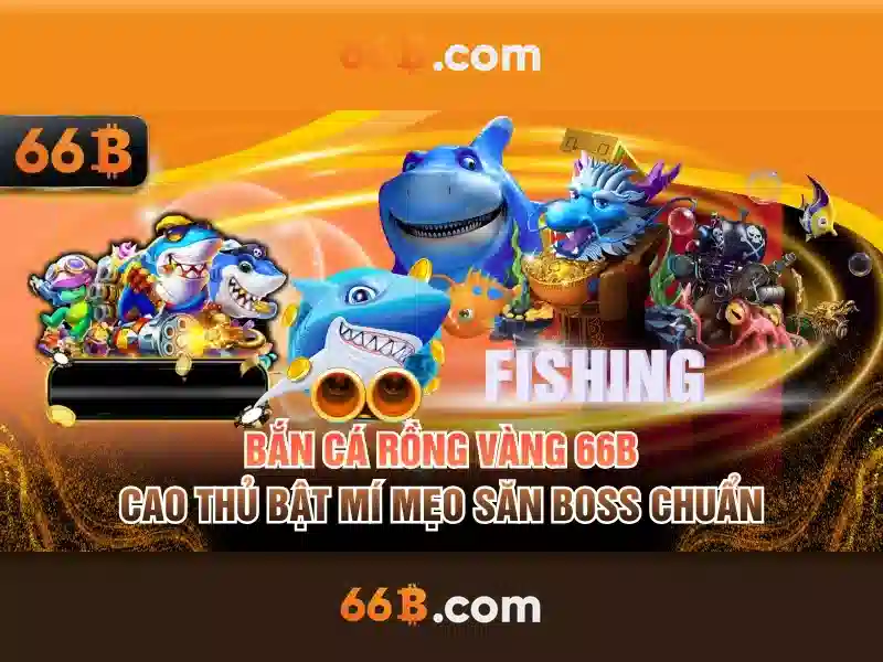 Kích thước và tham số của 66B