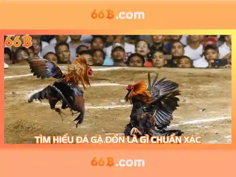66b nguyễn sỹ sách p15 quận tân bình là gì - tổng quan và trải nghiệm Go88