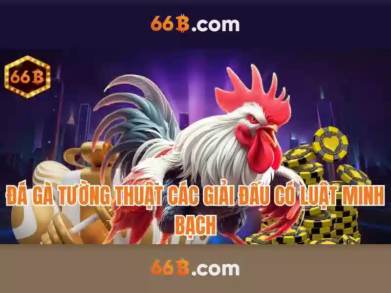 Cấu trúc và tham số của 66b Cấu trúc và tham số của 66b