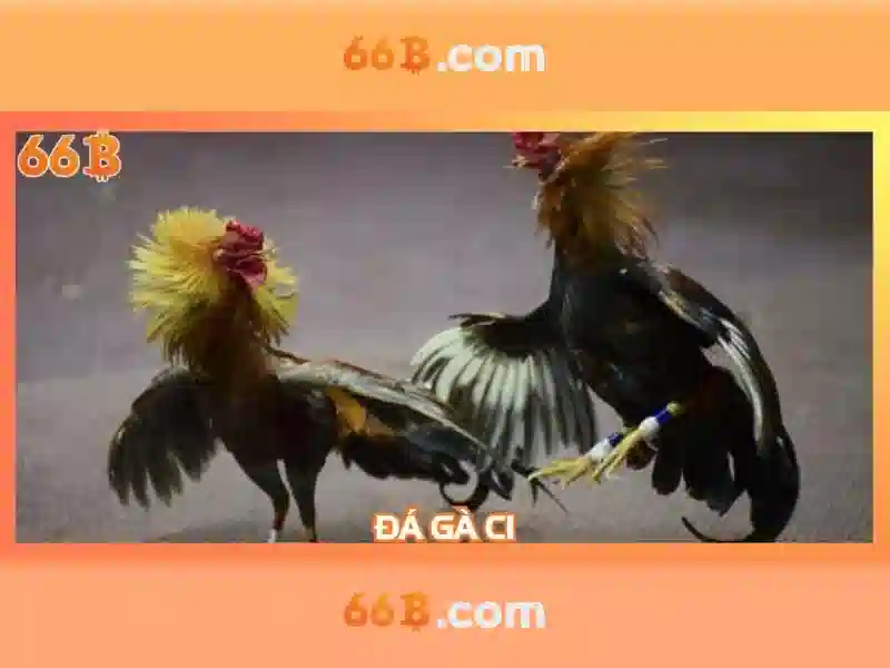 Đăng Nhập