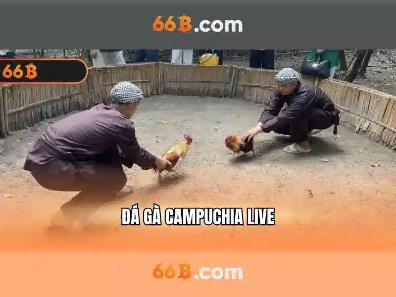 bếp từ canzy cz 66b – Trải nghiệm nấu ăn thông minh và an toàn Go88