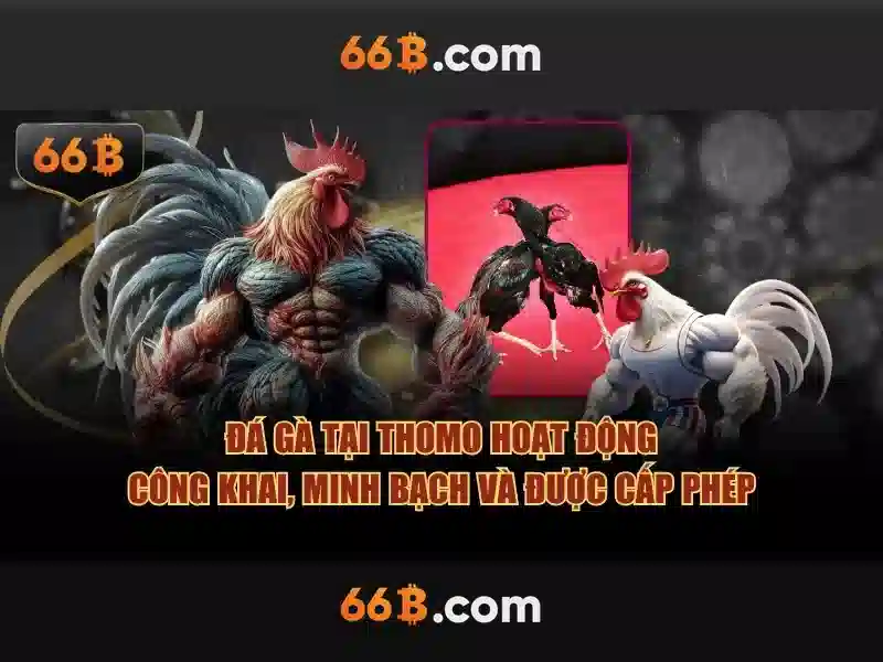 66b: hành trình khám phá một khái niệm số 1 Đăng Nhập
