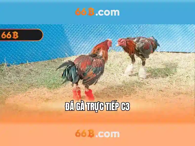 66B là gì và tác động của nó trong AI 1 Đăng Nhập