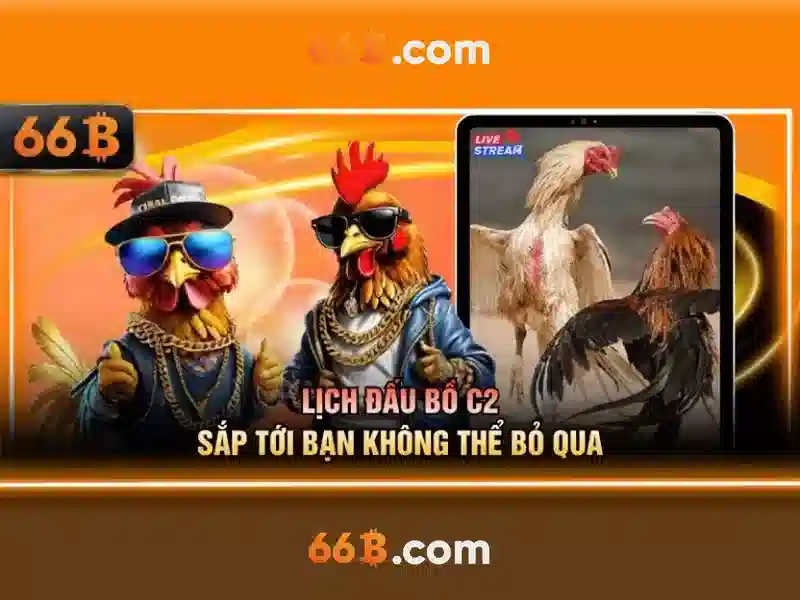66b hoạt động bao lâu – chủ đề tổng quan</p>
