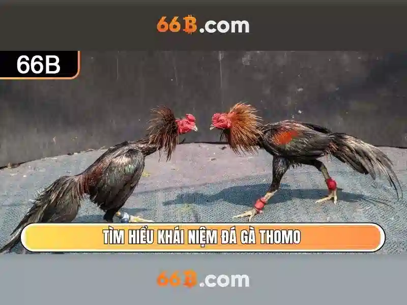 Đào tạo và dữ liệu để 66B
