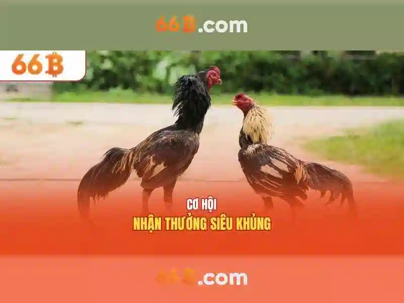 Khía cạnh kỹ thuật của 66B Khía cạnh kỹ thuật của 66B