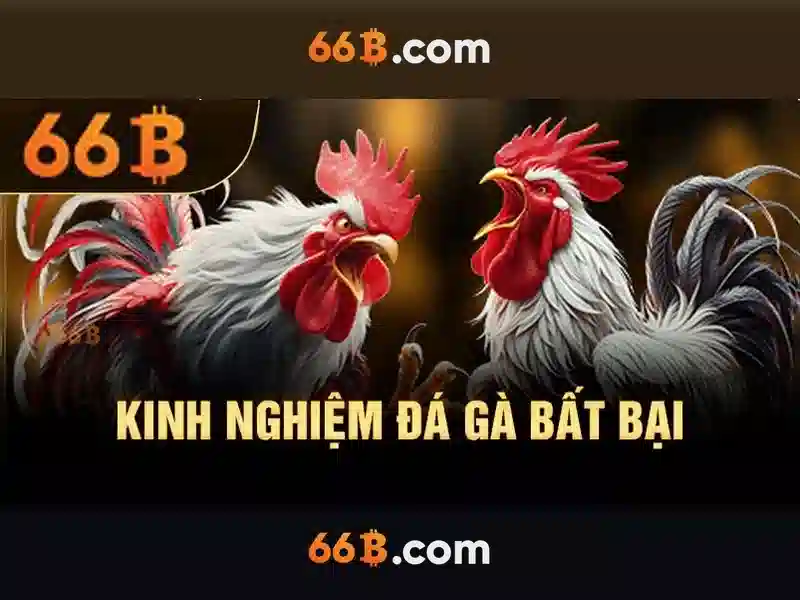 66b là gì?