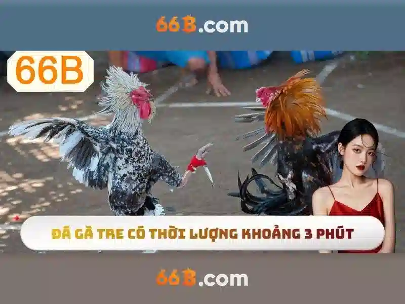 66b trong toán học và mã hóa 66b trong toán học và mã hóa