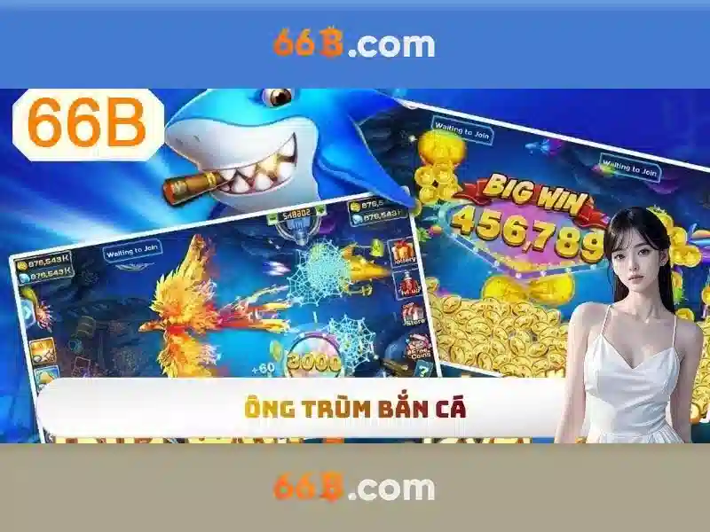 Khả năng tùy chỉnh và bảo mật của 66b