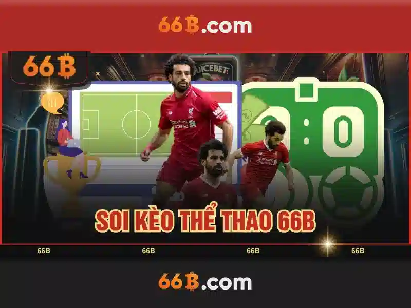 Kiến thức cơ bản về 66B