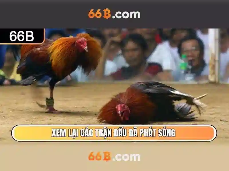 Ứng dụng thực tế Ứng dụng thực tế