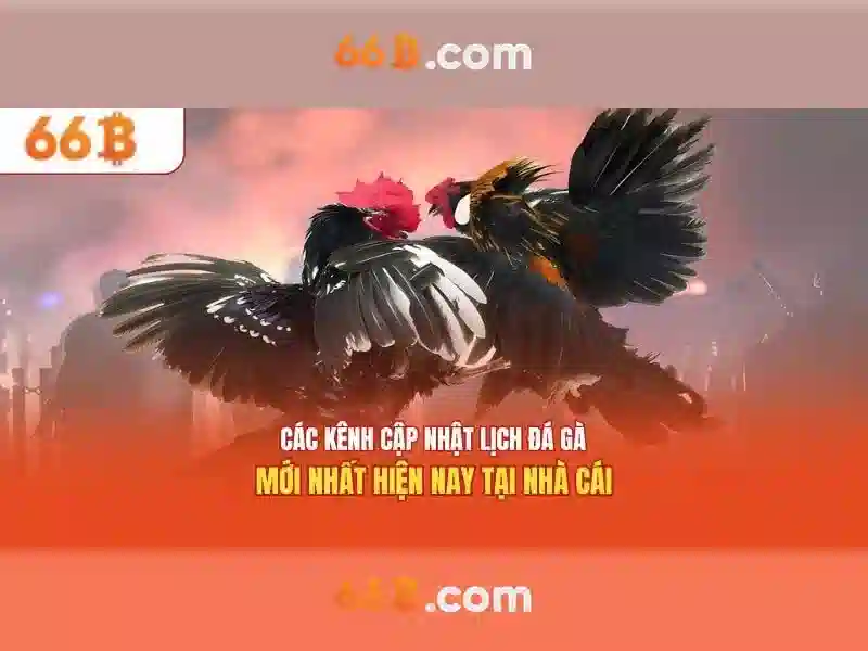 Khái niệm căn bản về 66b Khái niệm căn bản về 66b