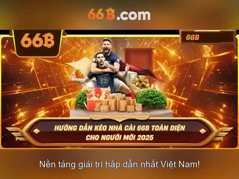 Giới thiệu về 66b