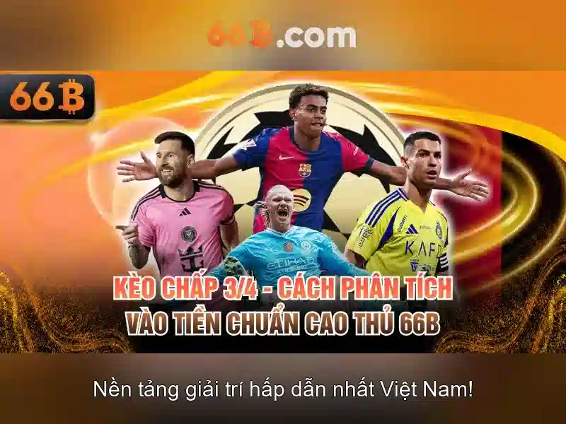 Hiệu suất và huấn luyện
