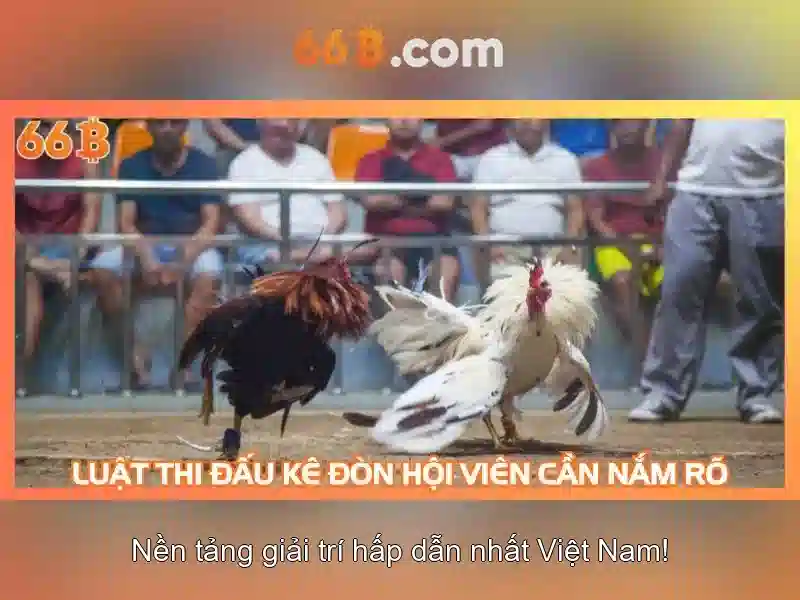 Kiến trúc và đặc điểm nổi bật của 66B<h>Ứng dụng thực tiễn và thách thức đạo đức</h><p>Trong thực tế, 66B có thể hỗ trợ viết văn, trả lời câu hỏi, tóm tắt nội dung và tạo mã nguồn. Tuy vậy, nó cũng đặt ra thách thức về định kiến dữ liệu, an toàn và kiểm soát đầu ra, đồng thời đòi hỏi biện pháp giám sát để ngăn ngừa thông tin sai lệch.</p>