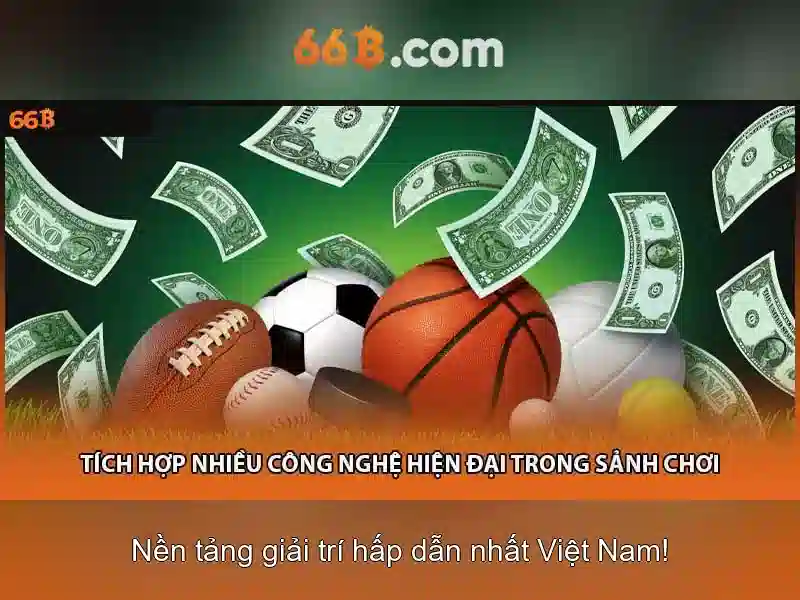 66B là gì?