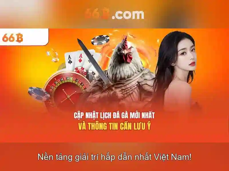 Giới thiệu về 66B Giới thiệu về 66B