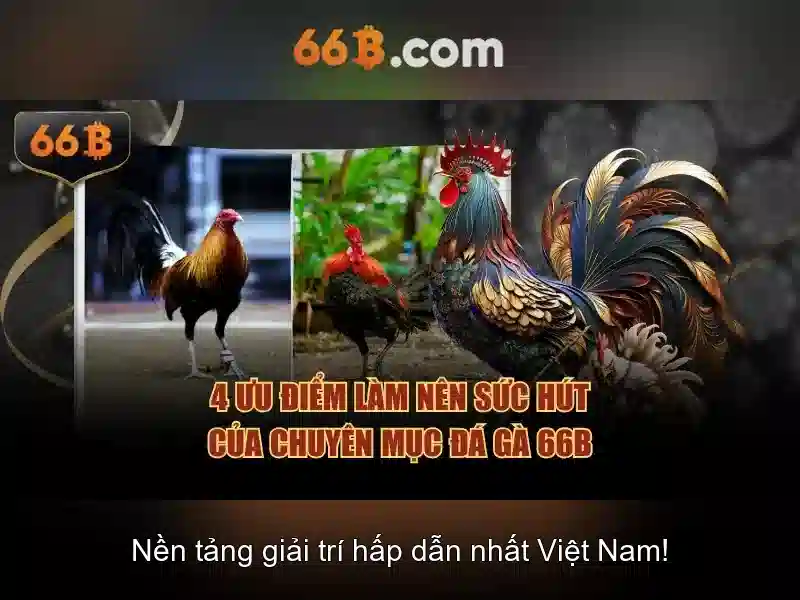 Đăng Nhập