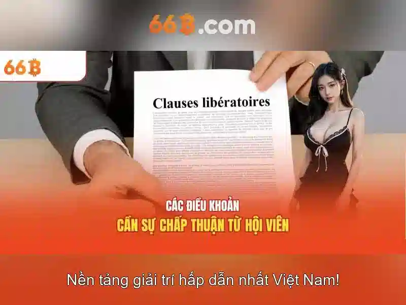 Cấu trúc và kích thước của mô hình 66B