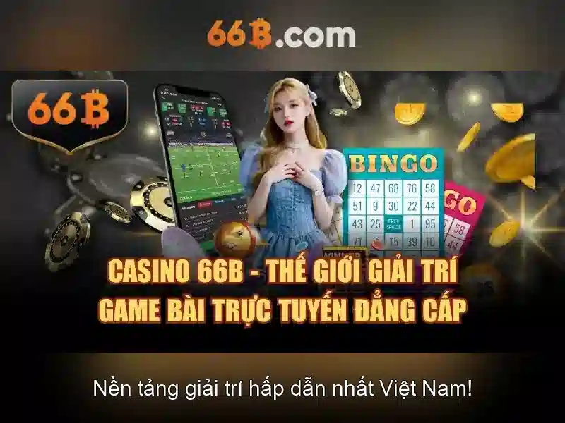 Các đặc điểm của 66B