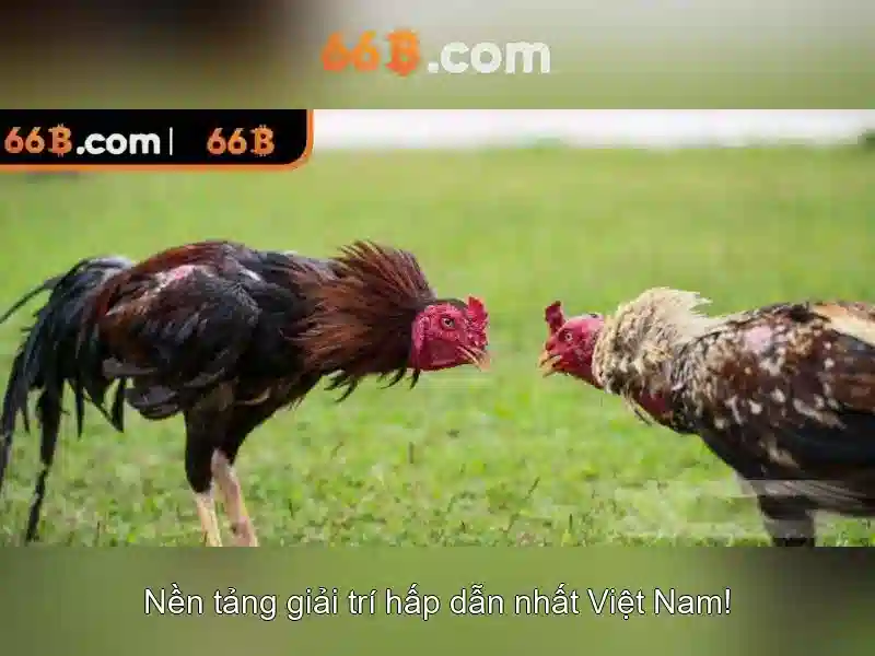 Đăng Nhập