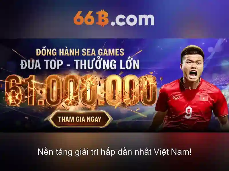 Giới thiệu về 66B