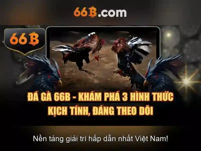 66b: Khám phá sức mạnh và ứng dụng của mô hình 66b Go88