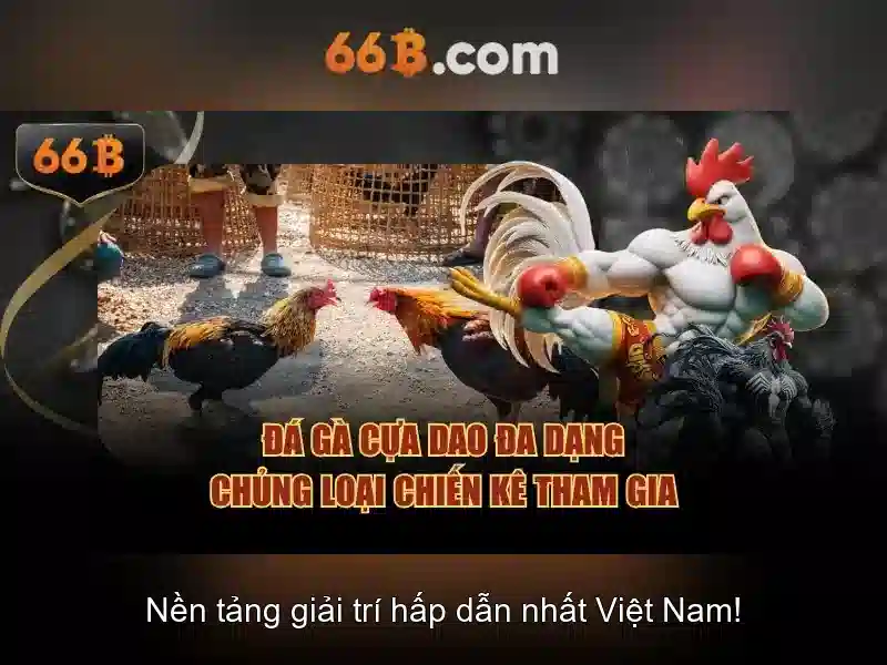 Nguồn gốc của 66b
