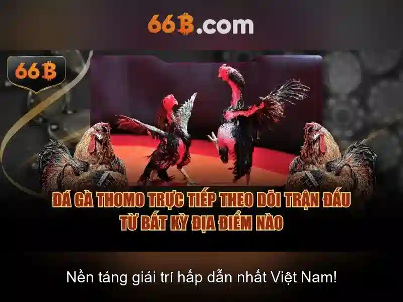 Kiến trúc và tham số Kiến trúc và tham số