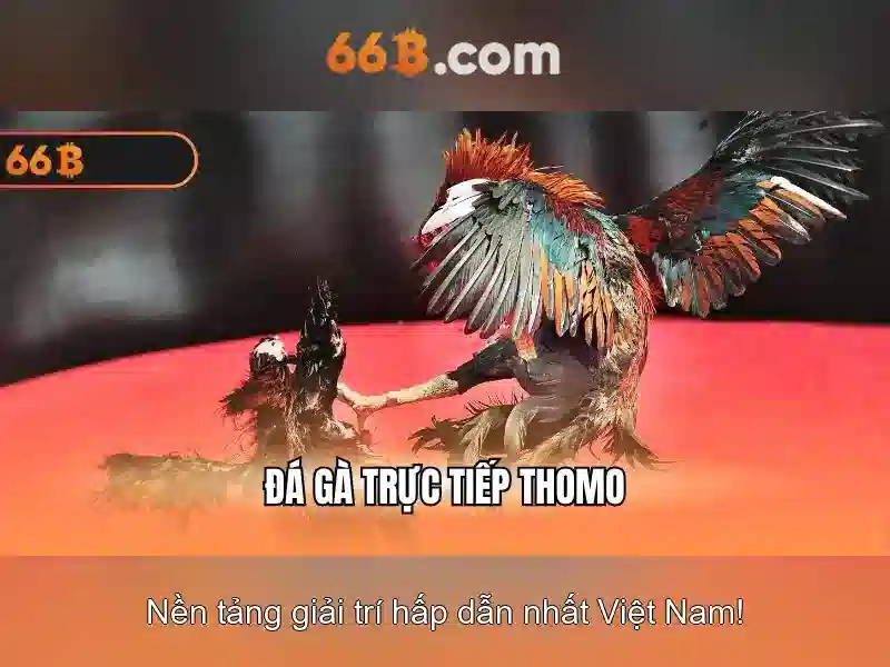 66B: Mô hình ngôn ngữ quy mô lớn 66 tỷ tham số 1 Đăng Nhập