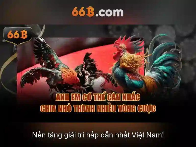 Kiến trúc và quy mô