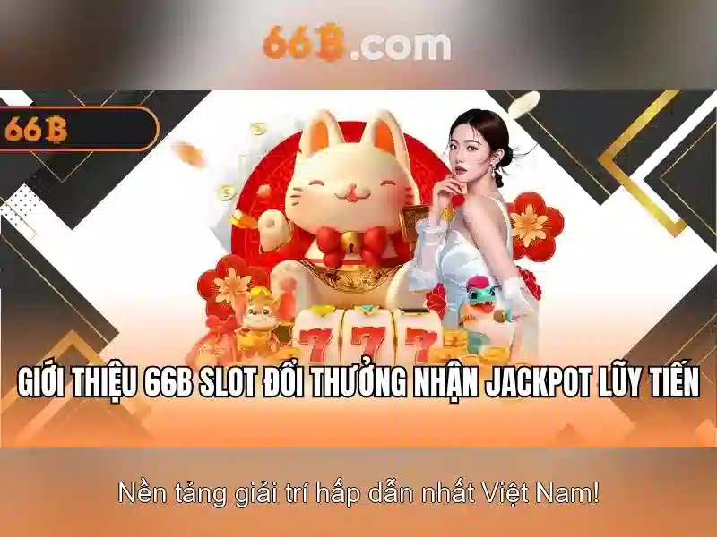 66B là gì? 66B là gì?
