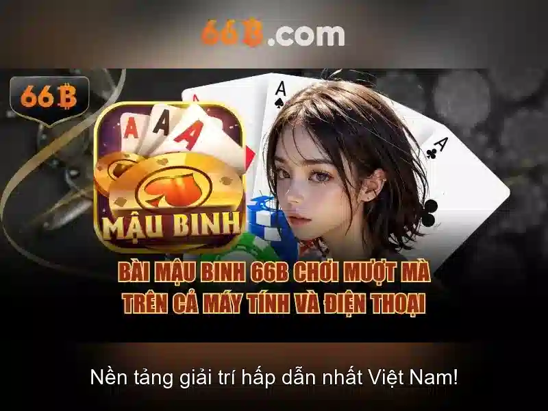 66B và kích thước tham số