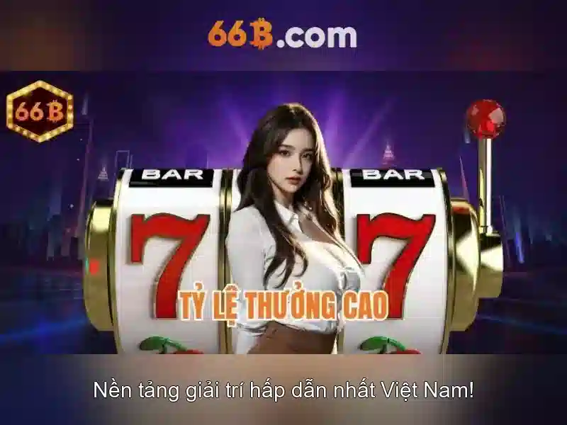 66B là gì? 66B là gì?