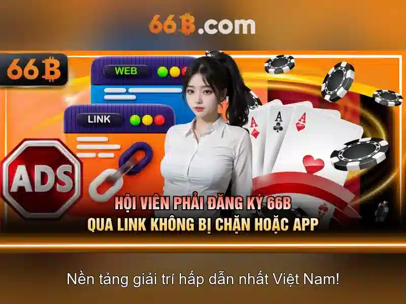 Trải nghiệm người dùng và phản hồi cộng đồng Trải nghiệm người dùng và phản hồi cộng đồng