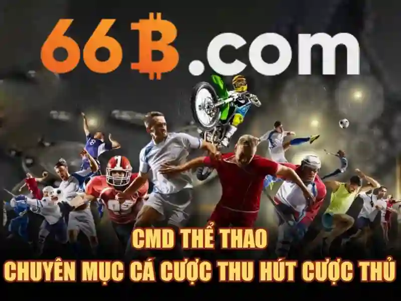66b – Các sản phẩm và dịch vụ cốt lõi