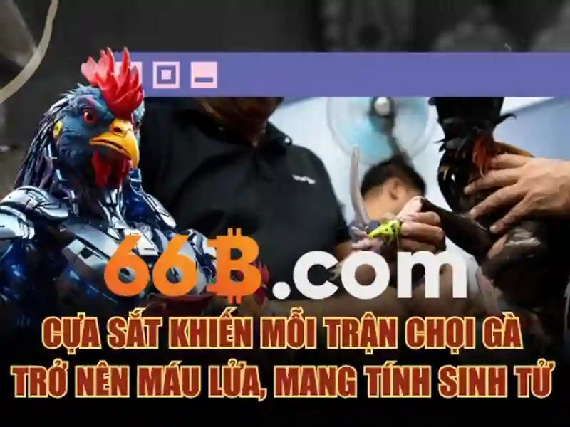 Trải nghiệm người dùng và phản hồi cộng đồng Trải nghiệm người dùng và phản hồi cộng đồng