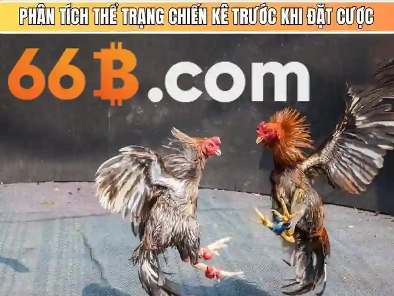 Lịch sử và nguồn gốc của 66b