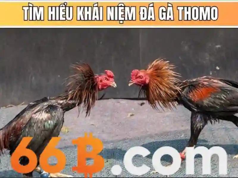 mậu binh 66b – Lợi thế và cạnh tranh mậu binh 66b – Lợi thế và cạnh tranh