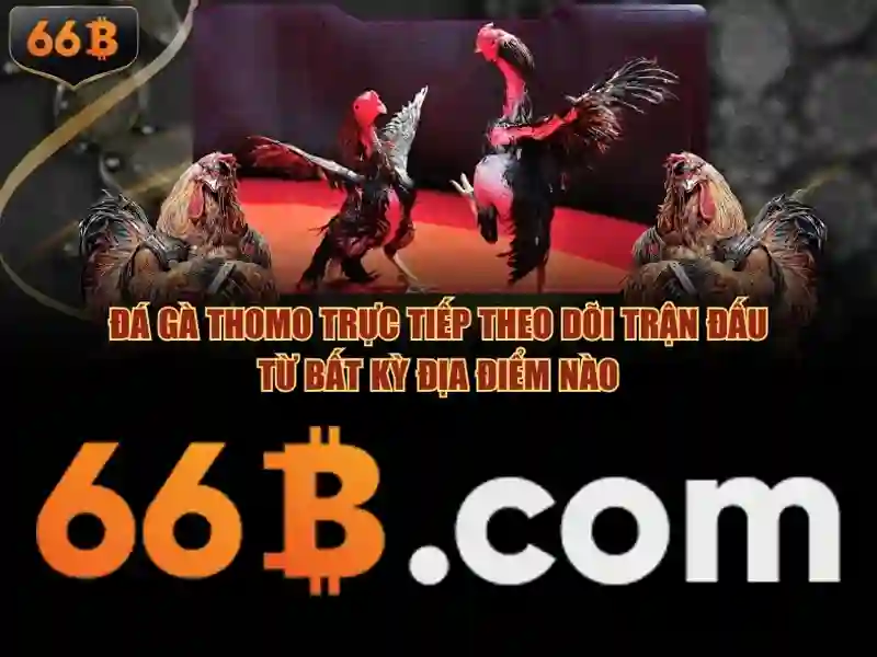 nhận thưởng 66b: khám phá trải nghiệm và tiềm năng Go88