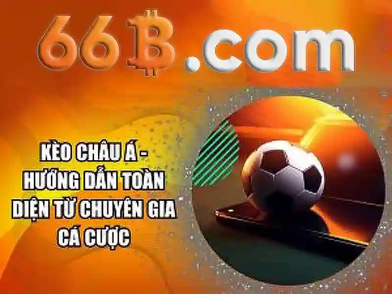 Kết luận về 66b