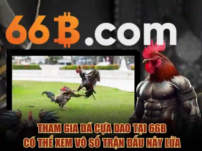 66b nguyen si sach – nang luc canh tranh