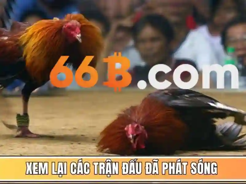 chơi 66b có bị bắt không – Giới thiệu và bối cảnh